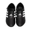 ATA Adidas Taekwondo Shoe Photo 5